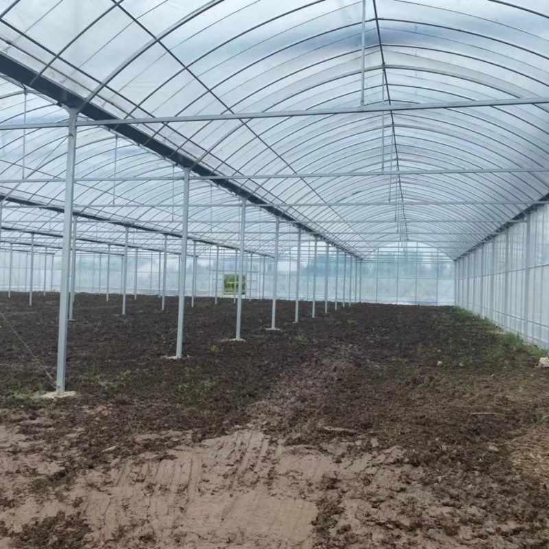 Professional Multi-Span Plastic Film Greenhouse with Shading System for Commercial Projects