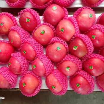 Fresh Class 1 Paper Bagged FUJI Apple