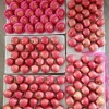 Fresh Class 1 Paper Bagged FUJI Apple