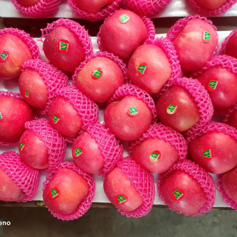 Fresh Class 1 Paper Bagged FUJI Apple