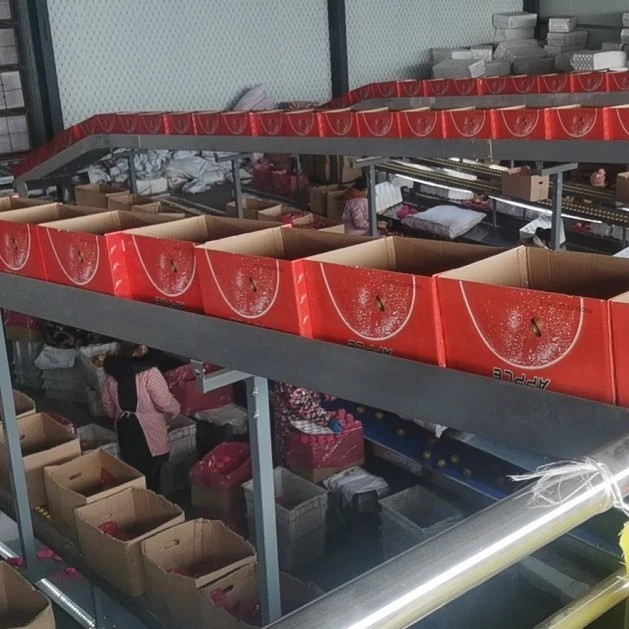 Fresh Class 1 Paper Bagged FUJI Apple