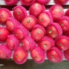 Fresh Class 1 Paper Bagged FUJI Apple