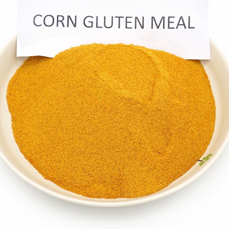 Corn Gluten Meal Animal Feed