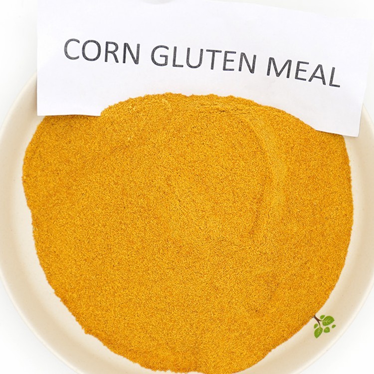 Corn Gluten Meal Animal Feed