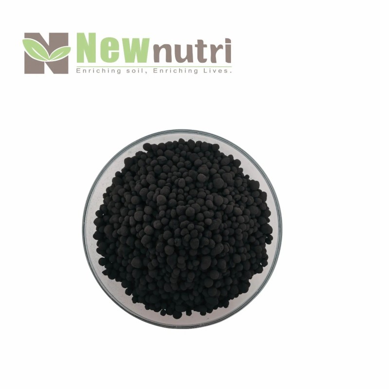 Humic Acid Ball/Granule Organic Fertilizer Bio Compound Fertilizer for Agriculture