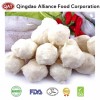 Premium Fresh Fish Balls for Authentic Chinese Hot Pot Wholesale