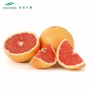 Citrus Paradisi Extract Powder 50%~98% Naringin