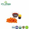 Premium Organic Sea Buckthorn Oil with Palmitoleic Acid 25%