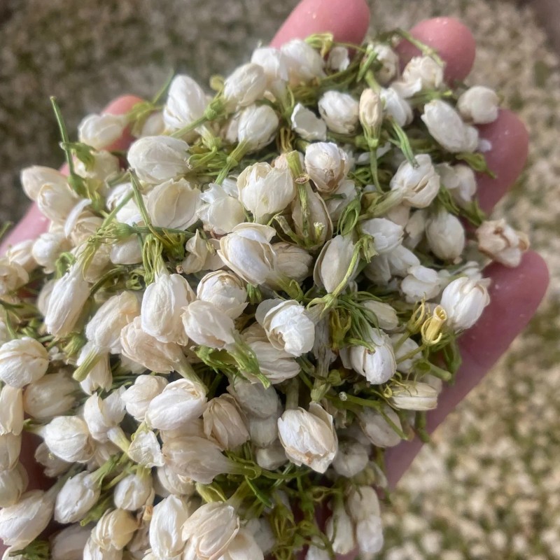 Wholesale Chinese Herbal Flavored Tea Chinese Natural Jasmine Dried Flower Sanbao Tea Jasmine Tea