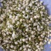 Wholesale Chinese Herbal Flavored Tea Chinese Natural Jasmine Dried Flower Sanbao Tea Jasmine Tea