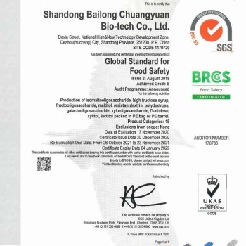 Food Grade Resistant Dextrin Made by Bailong Company Hot Selling