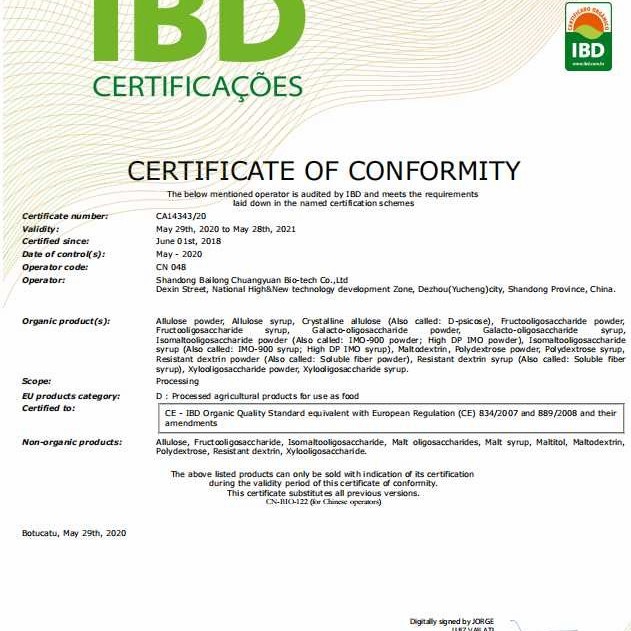 Food Grade Resistant Dextrin Made by Bailong Company Hot Selling