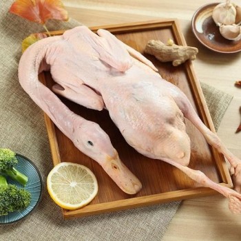 China Halal Certified IQF Frozen Whole Duck Premium Bulk Export Wholesale