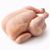 China Halal Certified IQF Frozen Whole Duck Premium Bulk Export Wholesale