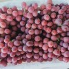 Fresh Xinjiang Good Quality Delicious Red Grapes