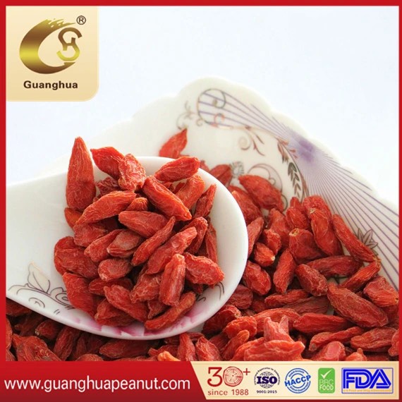 Dried Goji Berry with The Best Quality and Health
