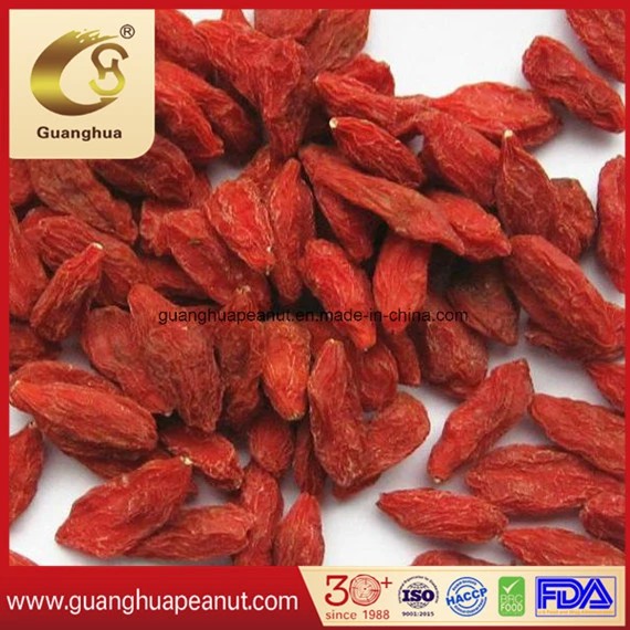 Dried Goji Berry with The Best Quality and Health