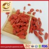 Dried Goji Berry with The Best Quality and Health