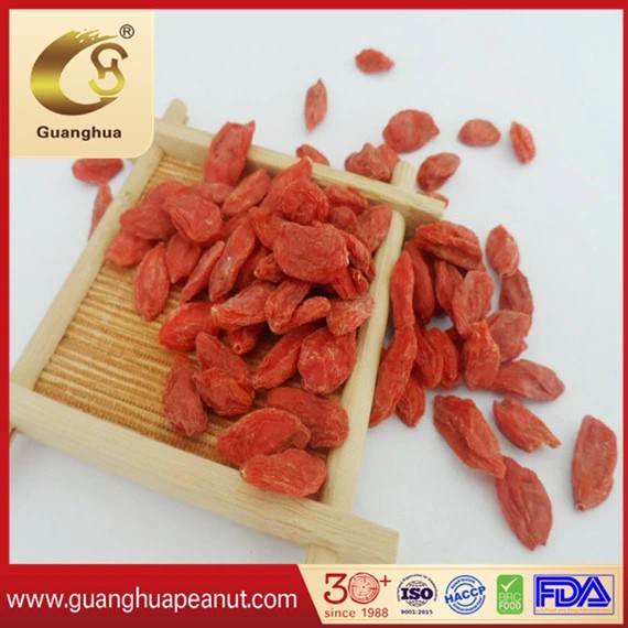 Dried Goji Berry with The Best Quality and Health