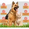 Multivitamin Mineral Powder for Dogs and Cats Daily Nutrition Immune Booster OEM Manufacturer