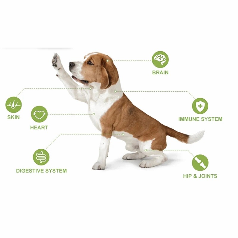 Multivitamin Mineral Powder for Dogs and Cats Daily Nutrition Immune Booster OEM Manufacturer