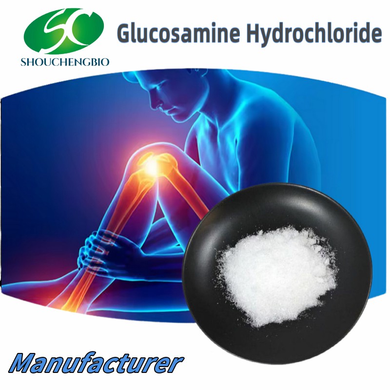 Factory Supply D-Glucosamine Hydrochloride Glucosamine HCl Powder Raw Material CAS 66-84-2