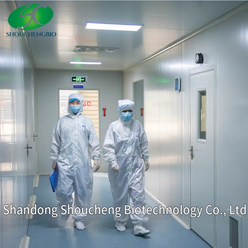 Factory Supply D-Glucosamine Hydrochloride Glucosamine HCl Powder Raw Material CAS 66-84-2