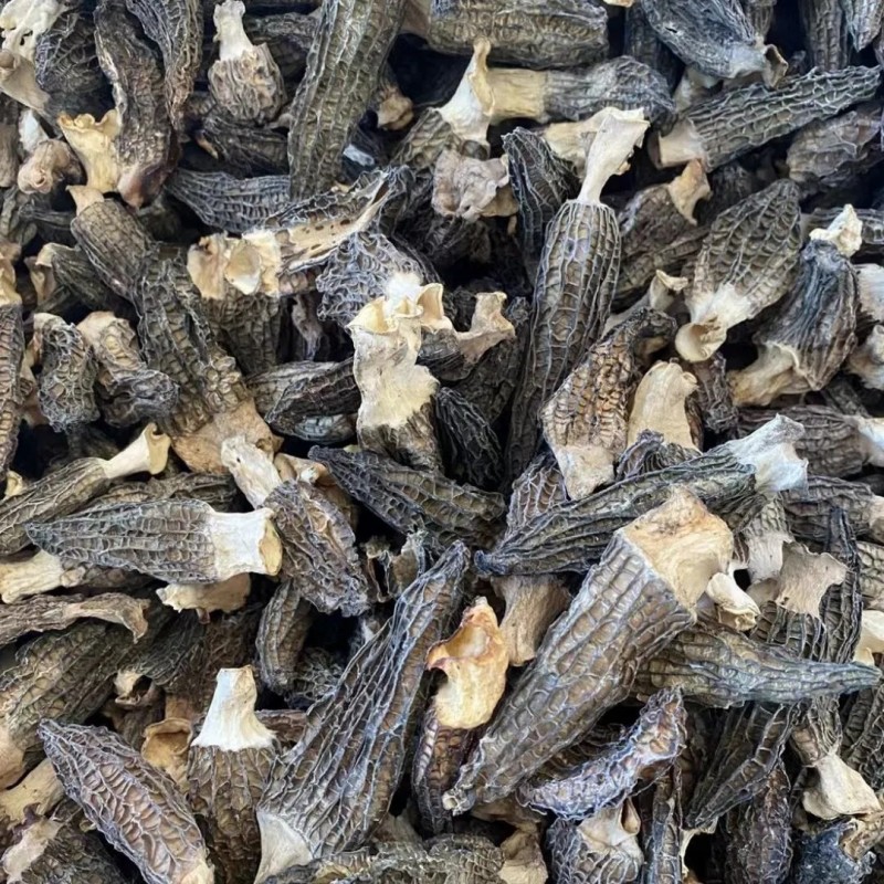 Natural Dried Morel Mushrooms, High-Quality Edible Fungi Morel Mushroom for Wholesale
