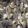 Natural Dried Morel Mushrooms, High-Quality Edible Fungi Morel Mushroom for Wholesale