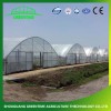 Arches Tunnel Poly Film Green House for Agriculture Farming