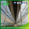 Arches Tunnel Poly Film Green House for Agriculture Farming