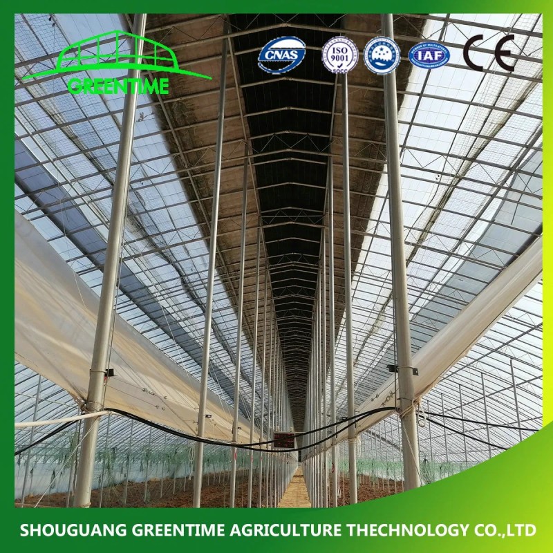 Arches Tunnel Poly Film Green House for Agriculture Farming