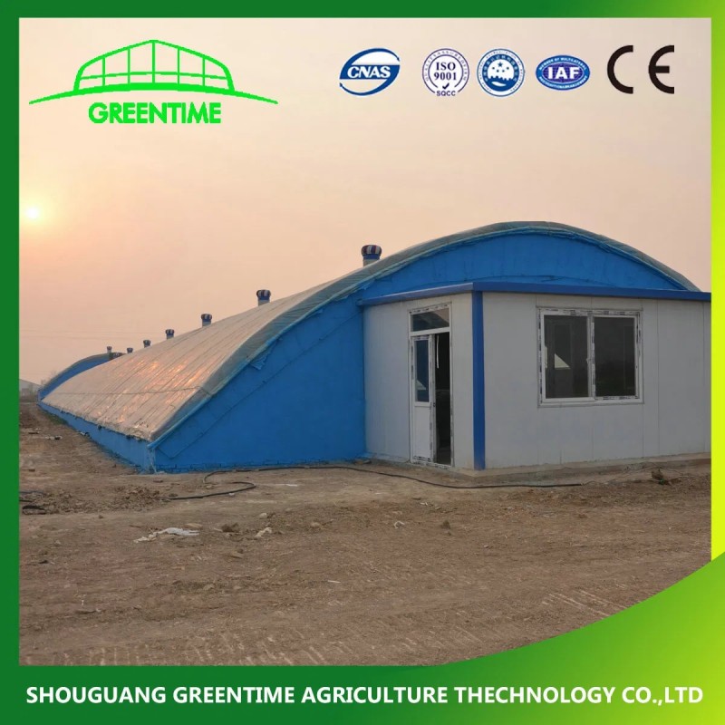 Arches Tunnel Poly Film Green House for Agriculture Farming