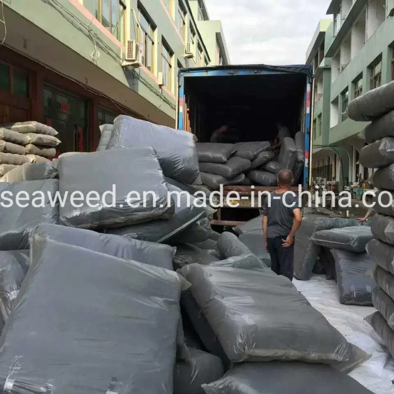 Best Selling Health Food High Iodine Dried Laver Seaweed Porphyra