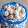 2025 High Quality Fresh Normal White Garlic 4.5cm-6.0cm Pure White Garlic for Sale