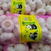 2025 High Quality Fresh Normal White Garlic 4.5cm-6.0cm Pure White Garlic for Sale