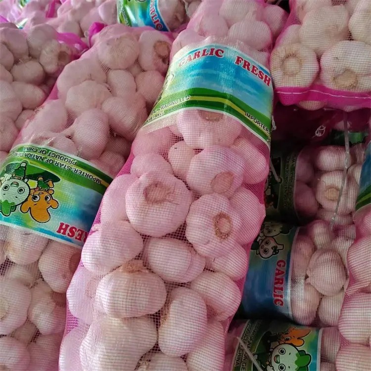 2025 High Quality Fresh Normal White Garlic 4.5cm-6.0cm Pure White Garlic for Sale