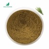 Natural Antioxidant Rosemary Leaf Extract for Food Preservation and Oil Stability with ISO22000