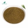 Natural Antioxidant Rosemary Leaf Extract for Food Preservation and Oil Stability with ISO22000