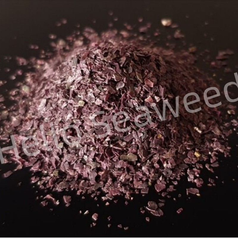 Sustainable Red Algae Flakes Traceable to Xiamen Coastline Salt-Free Mineral Source for Fermented Foods