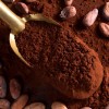 Factory Supply 100% Pure Cacao Powder Natural Alkalized Cocoa Powder with Low Price