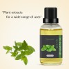 Therapeutic Grade Spearmint Essential Oil Essential Oil Wholesale