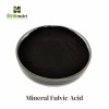 Bio Fulvic Acid and Mineral Fulvic Acid, Boost Your Soil's Organic Matter Naturally