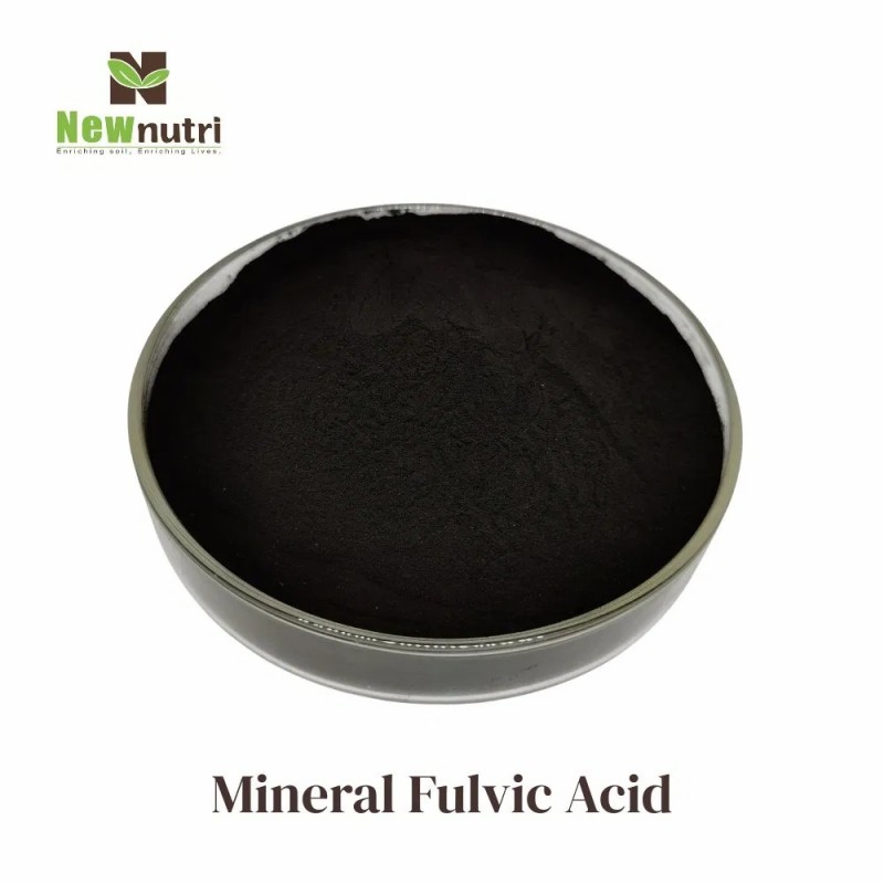 Bio Fulvic Acid and Mineral Fulvic Acid, Boost Your Soil's Organic Matter Naturally
