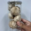 Wholesale Price Export 500g Canned Fermented Solo Clove Black Garlic