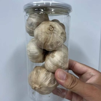 Wholesale Price Export 500g Canned Fermented Solo Clove Black Garlic
