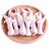 Wholesale Price Health Frozen Chicken Paw Halal Frozen Chicken Paw Feet