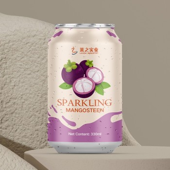Wholesale Chinese Soft Drink 500ml Non-Alcoholic Carbonated Beverage Manufacture Soda Drinks Private Label Carbonated Sparkling Soft Drink