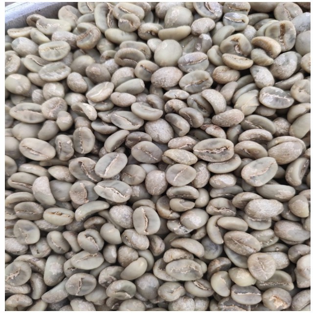 Yunnan Arabica Green Coffee Bean