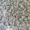 Yunnan Arabica Green Coffee Bean